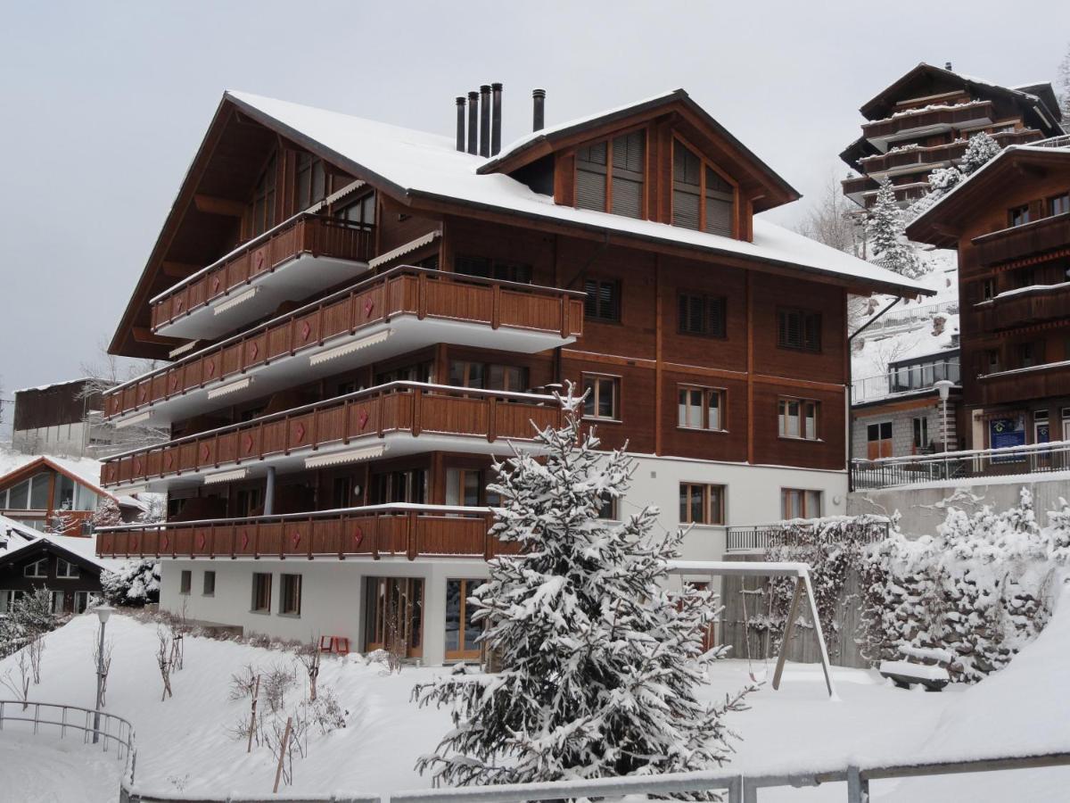 Chalet Bella Vista 4 Βένγκεν Εξωτερικό φωτογραφία